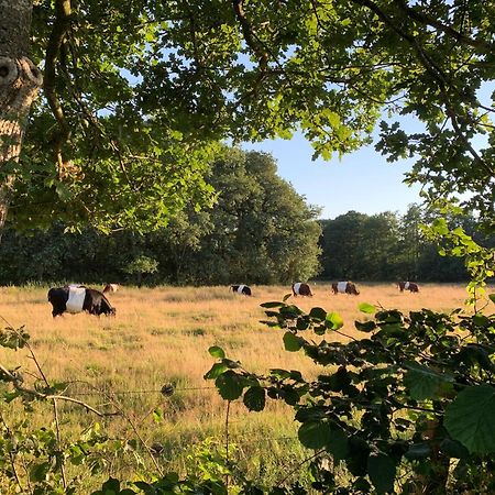 De Hiddinghhoeve Onstwedde Buitenkant foto