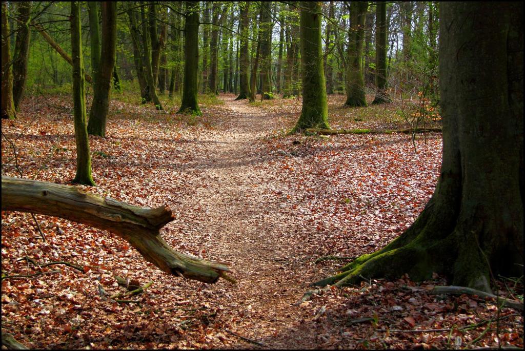 De Hiddinghhoeve Onstwedde Buitenkant foto