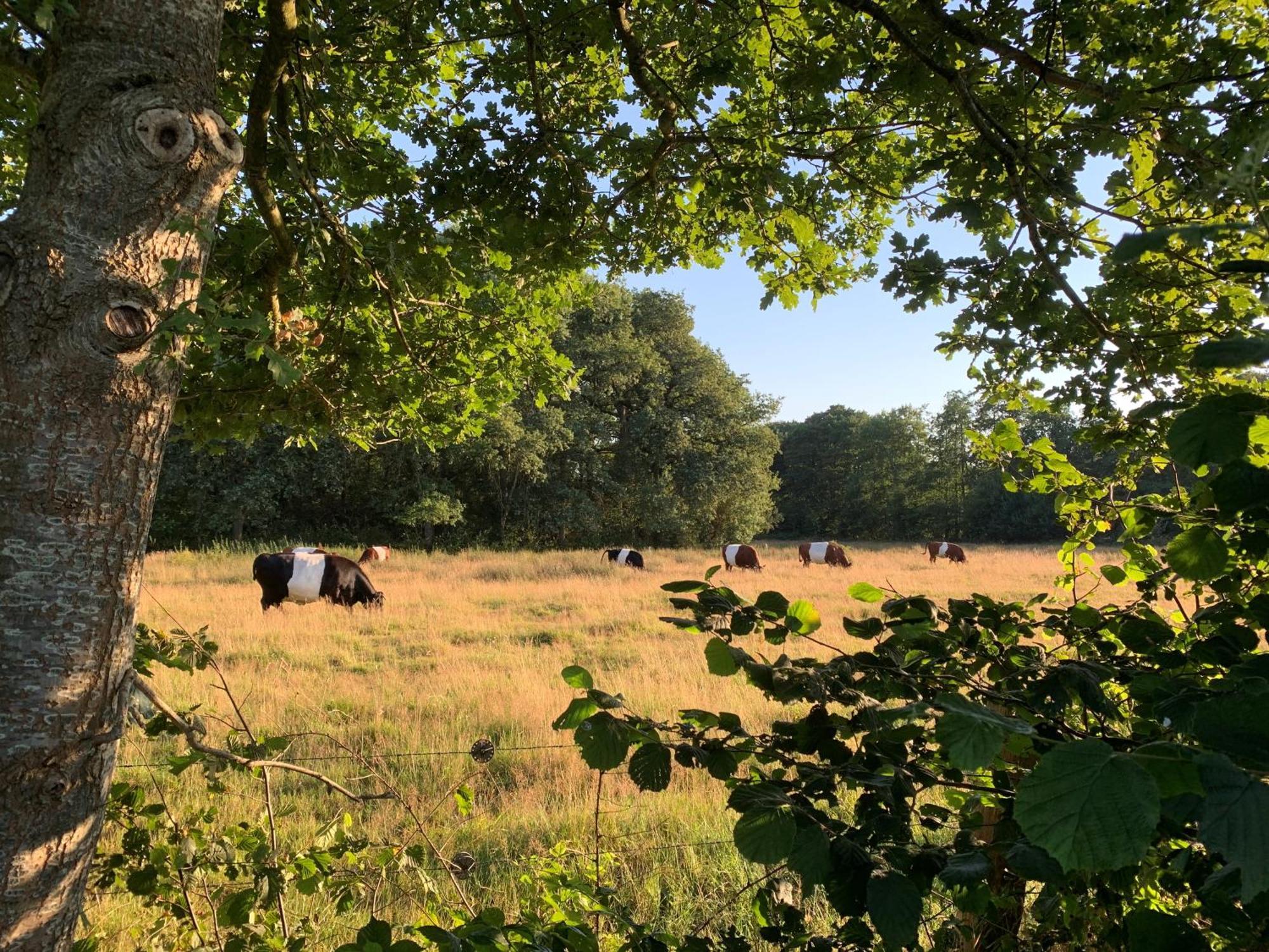 De Hiddinghhoeve Onstwedde Buitenkant foto