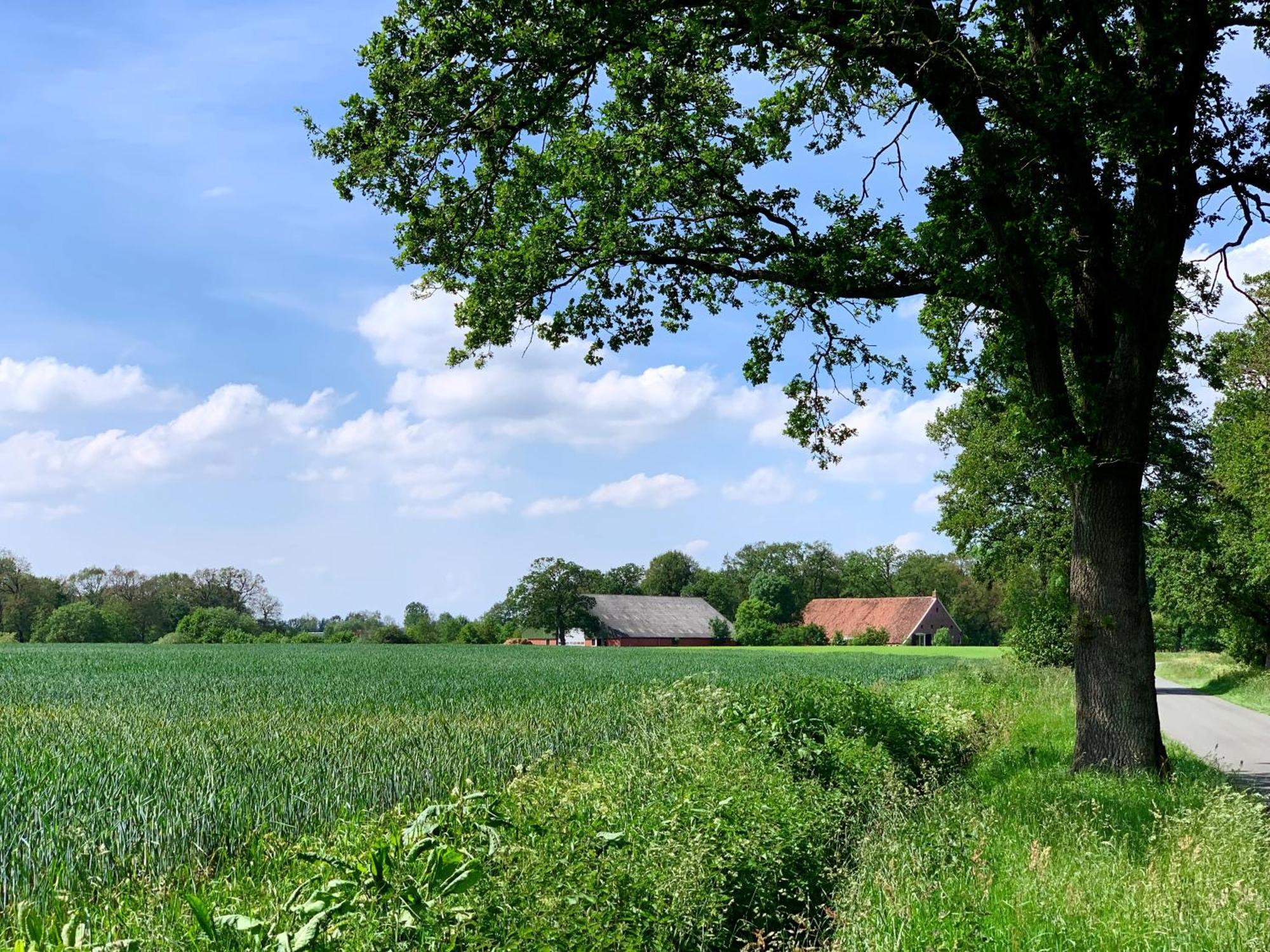 De Hiddinghhoeve Onstwedde Buitenkant foto