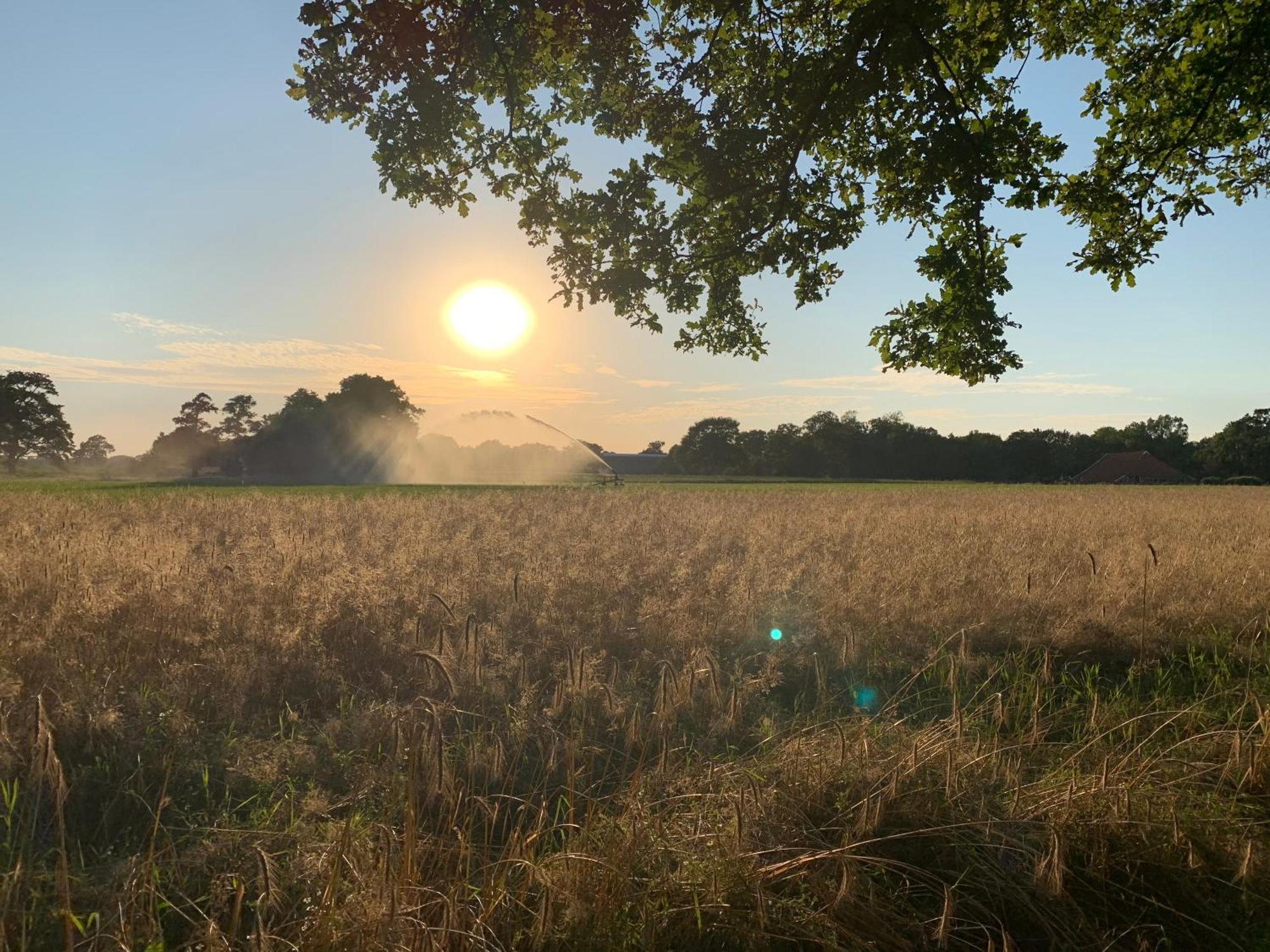 De Hiddinghhoeve Onstwedde Buitenkant foto