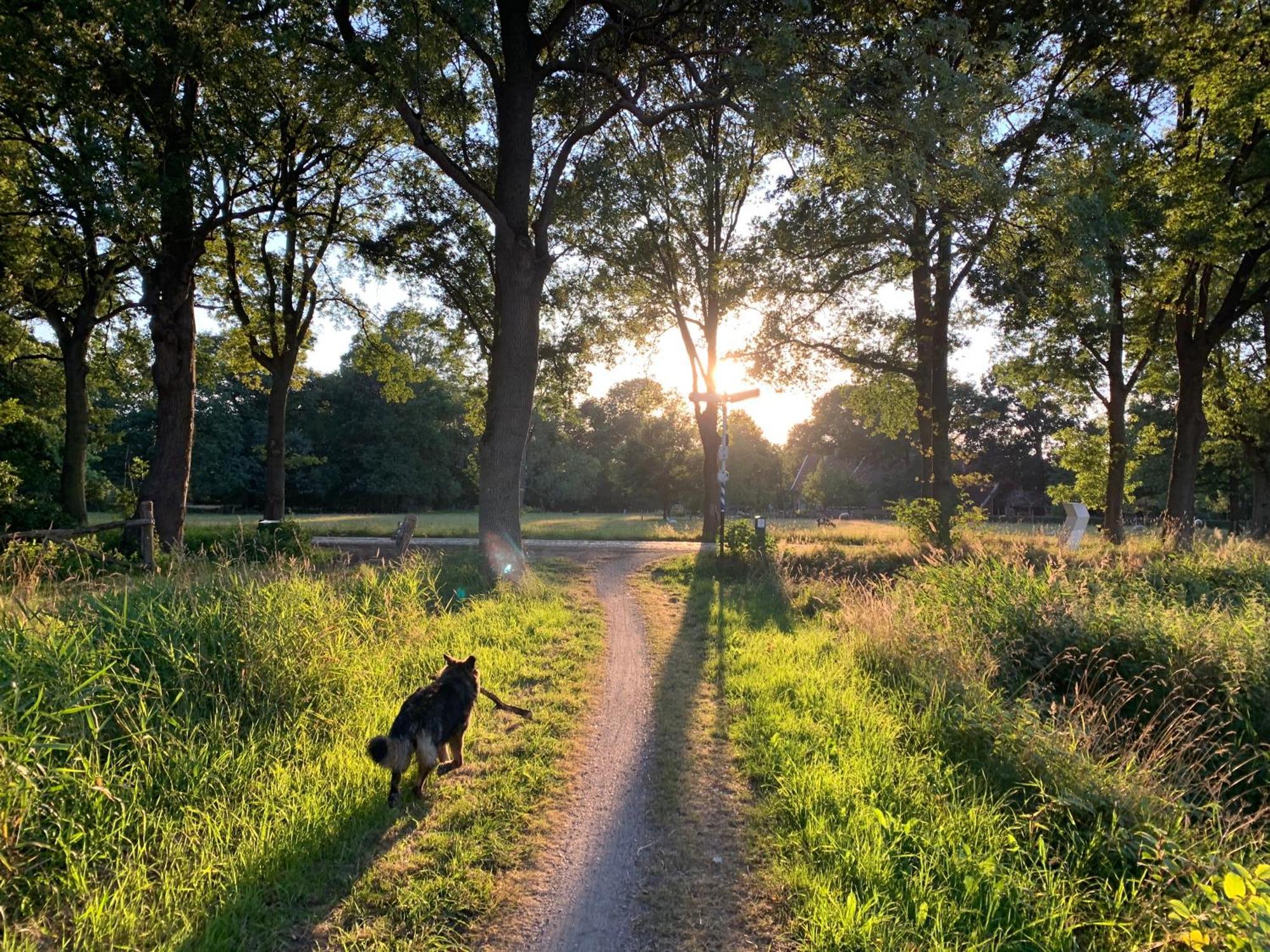 De Hiddinghhoeve Onstwedde Buitenkant foto