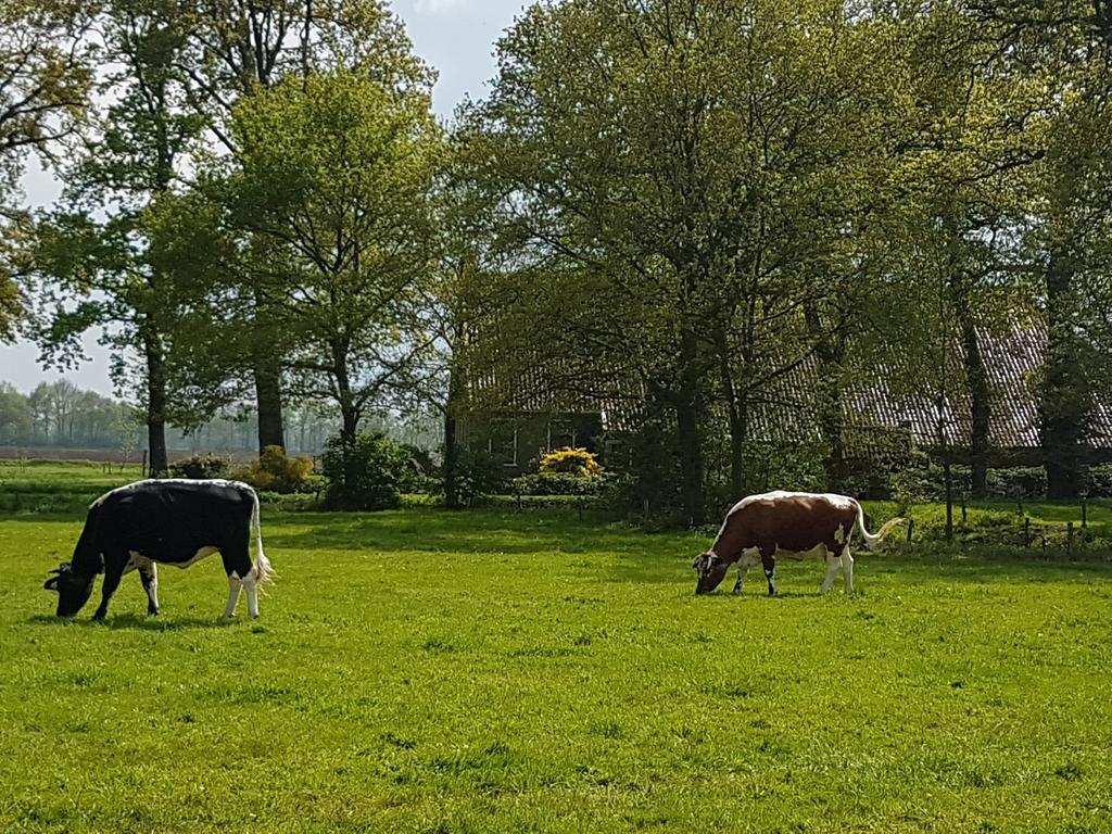 De Hiddinghhoeve Onstwedde Buitenkant foto